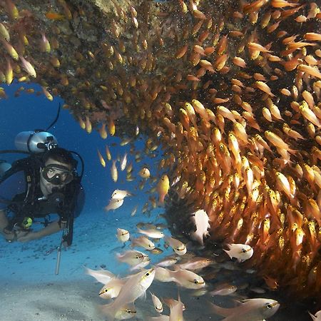 Zawadi Hotel, Zanzibar Michamvi Dış mekan fotoğraf