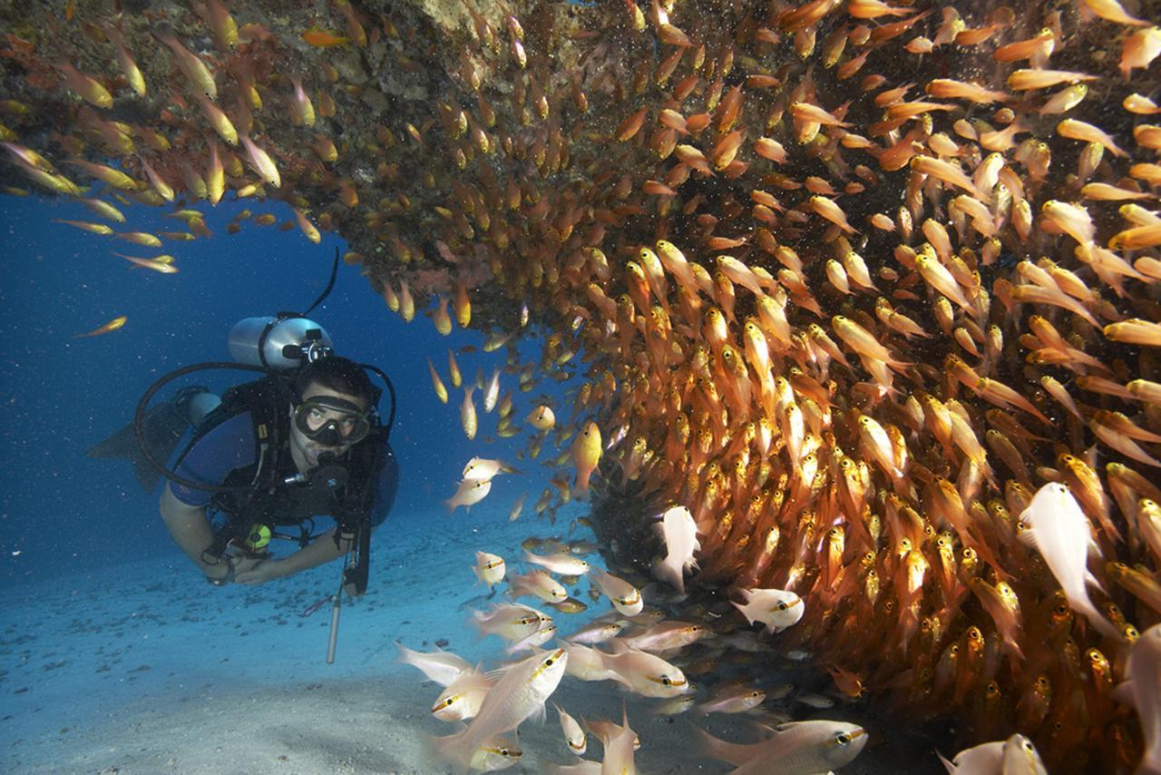 Zawadi Hotel, Zanzibar Michamvi Dış mekan fotoğraf